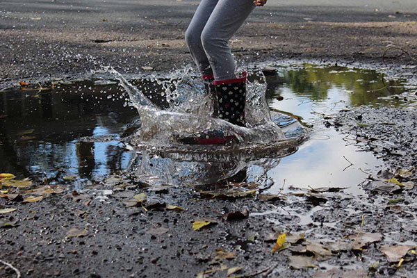 Photo by Ayelet Prottas, A Puddle a Day Keeps the Doctor Away